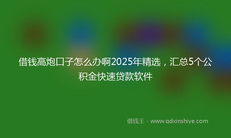 借钱高炮口子怎么办啊2025年精选，汇总5个公积金快速贷款软件