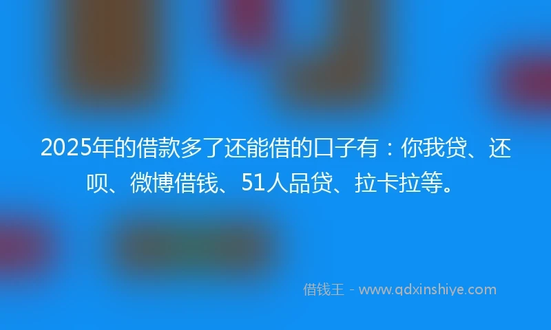 2025年的借款多了还能借的口子有：你我贷、还呗、微博借钱、51人品贷、拉卡拉等。