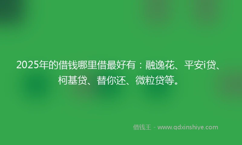 2025年的借钱哪里借最好有：融逸花、平安i贷、柯基贷、替你还、微粒贷等。