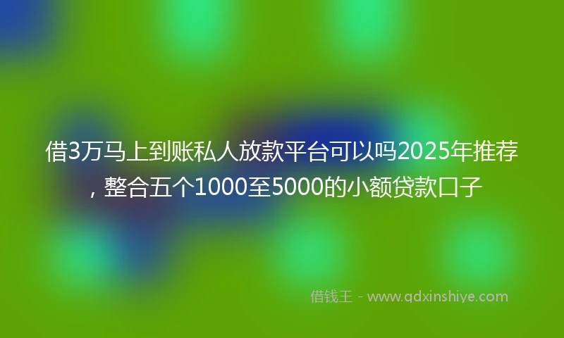 借3万马上到账私人放款平台可以吗2025年推荐，整合五个1000至5000的小额贷款口子