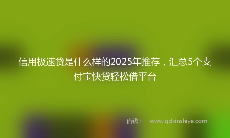信用极速贷是什么样的2025年推荐，汇总5个支付宝快贷轻松借平台