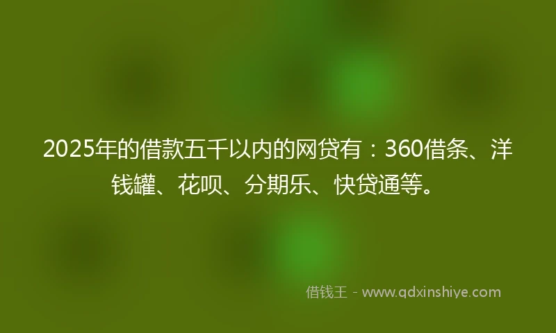 2025年的借款五千以内的网贷有：360借条、洋钱罐、花呗、分期乐、快贷通等。