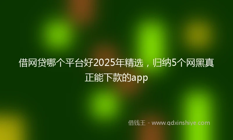 借网贷哪个平台好2025年精选，归纳5个网黑真正能下款的app