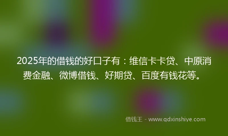 2025年的借钱的好口子有：维信卡卡贷、中原消费金融、微博借钱、好期贷、百度有钱花等。