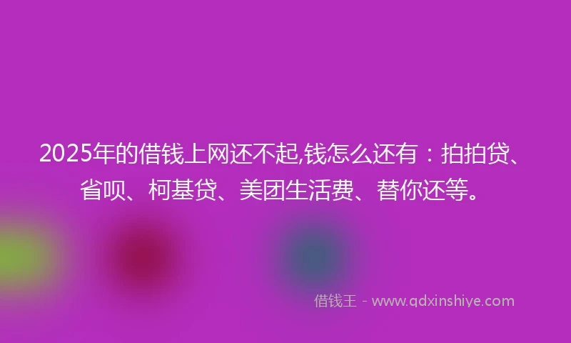 2025年的借钱上网还不起,钱怎么还有：拍拍贷、省呗、柯基贷、美团生活费、替你还等。