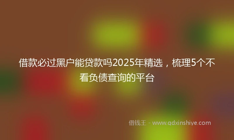 借款必过黑户能贷款吗2025年精选，梳理5个不看负债查询的平台