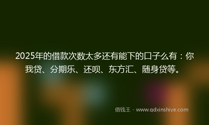 2025年的借款次数太多还有能下的口子么有：你我贷、分期乐、还呗、东方汇、随身贷等。