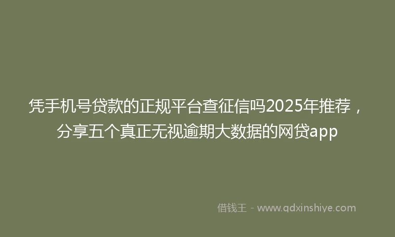 凭手机号贷款的正规平台查征信吗2025年推荐，分享五个真正无视逾期大数据的网贷app