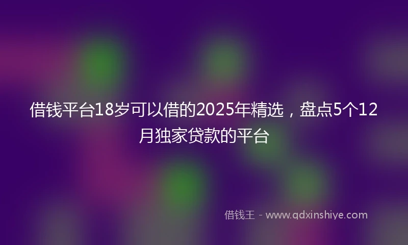 借钱平台18岁可以借的2025年精选，盘点5个12月独家贷款的平台