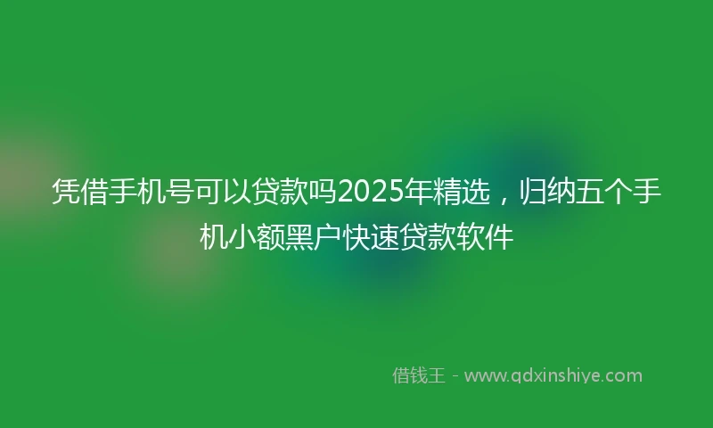 凭借手机号可以贷款吗2025年精选，归纳五个手机小额黑户快速贷款软件