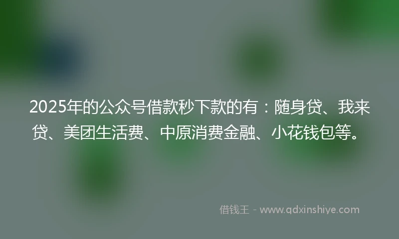 2025年的公众号借款秒下款的有：随身贷、我来贷、美团生活费、中原消费金融、小花钱包等。