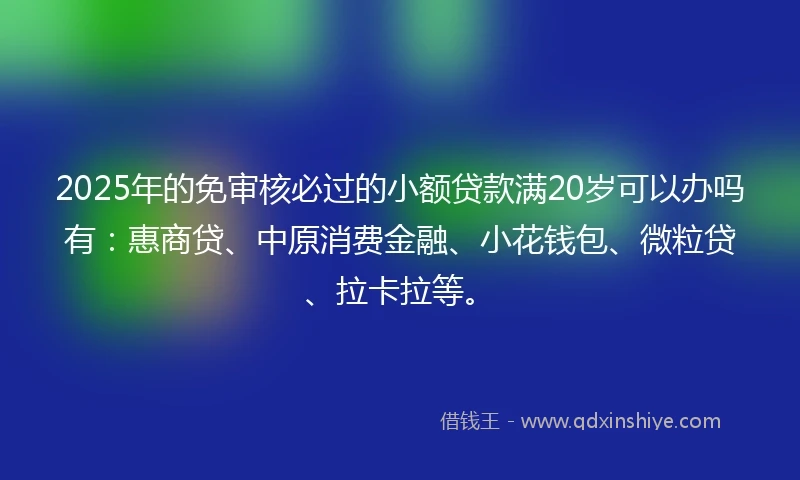 2025年的免审核必过的小额贷款满20岁可以办吗有：惠商贷、中原消费金融、小花钱包、微粒贷、拉卡拉等。
