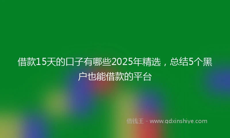借款15天的口子有哪些2025年精选，总结5个黑户也能借款的平台