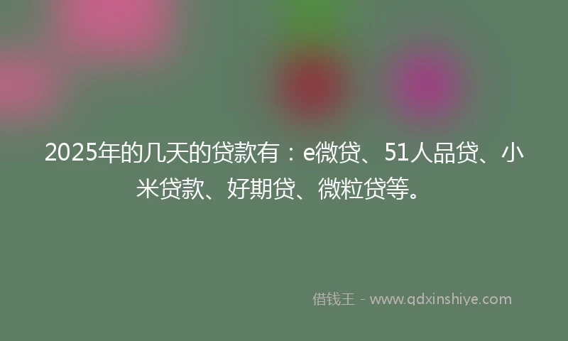 2025年的几天的贷款有：e微贷、51人品贷、小米贷款、好期贷、微粒贷等。