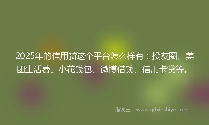 2025年的信用贷这个平台怎么样有：投友圈、美团生活费、小花钱包、微博借钱、信用卡贷等。