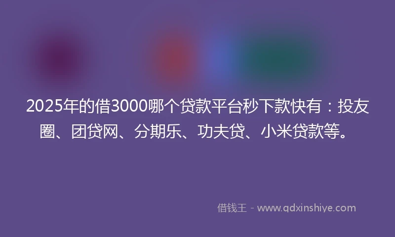 2025年的借3000哪个贷款平台秒下款快有:投友圈、团贷网、分期乐、功夫贷、小米贷款等。
