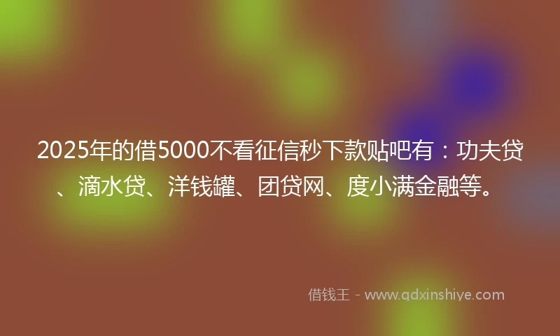 2025年的借5000不看征信秒下款贴吧有：功夫贷、滴水贷、洋钱罐、团贷网、度小满金融等。