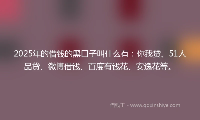 2025年的借钱的黑口子叫什么有：你我贷、51人品贷、微博借钱、百度有钱花、安逸花等。