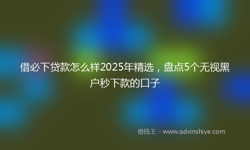 借必下贷款怎么样2025年精选，盘点5个无视黑户秒下款的口子