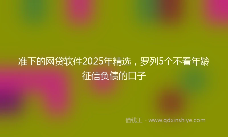 准下的网贷软件2025年精选，罗列5个不看年龄征信负债的口子