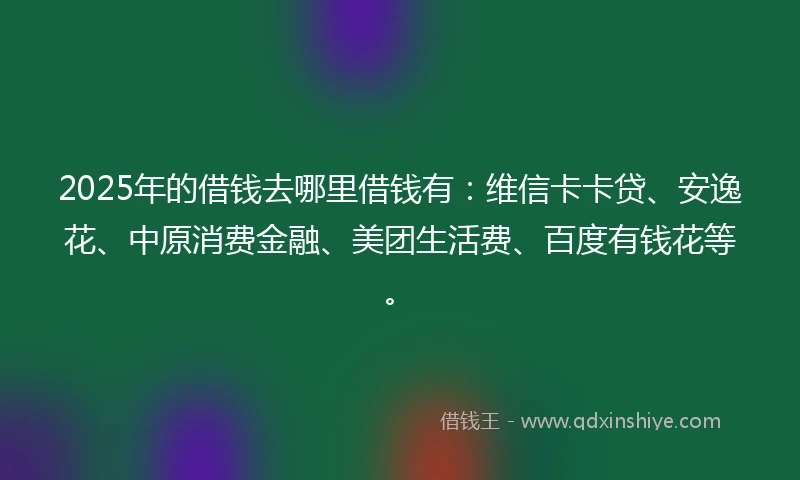 2025年的借钱去哪里借钱有：维信卡卡贷、安逸花、中原消费金融、美团生活费、百度有钱花等。