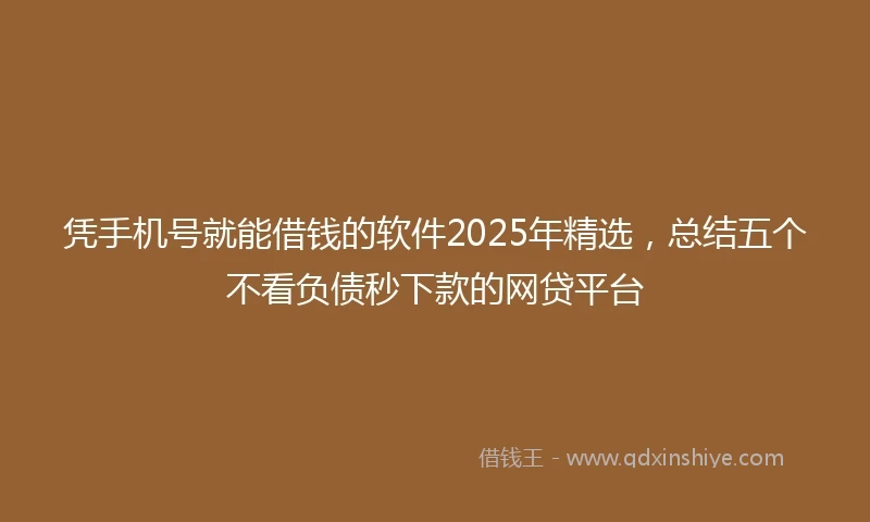 凭手机号就能借钱的软件2025年精选，总结五个不看负债秒下款的网贷平台