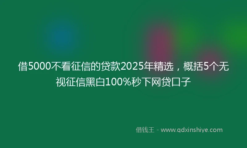 借5000不看征信的贷款2025年精选,概括5个无视征信黑白100%秒下网贷口子