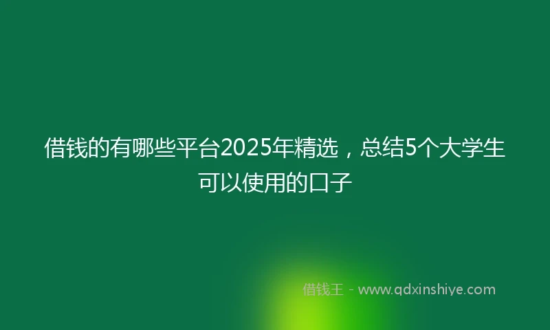 借钱的有哪些平台2025年精选，总结5个大学生可以使用的口子