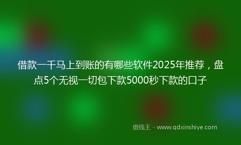 借款一千马上到账的有哪些软件2025年推荐，盘点5个无视一切包下款5000秒下款的口子