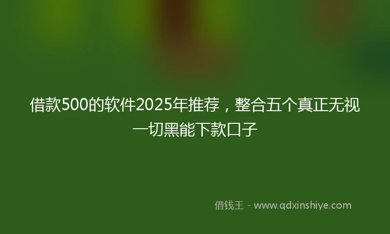 借款500的软件2025年推荐，整合五个真正无视一切黑能下款口子