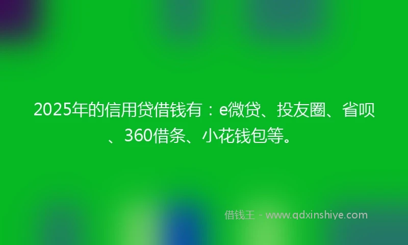 2025年的信用贷借钱有：e微贷、投友圈、省呗、360借条、小花钱包等。