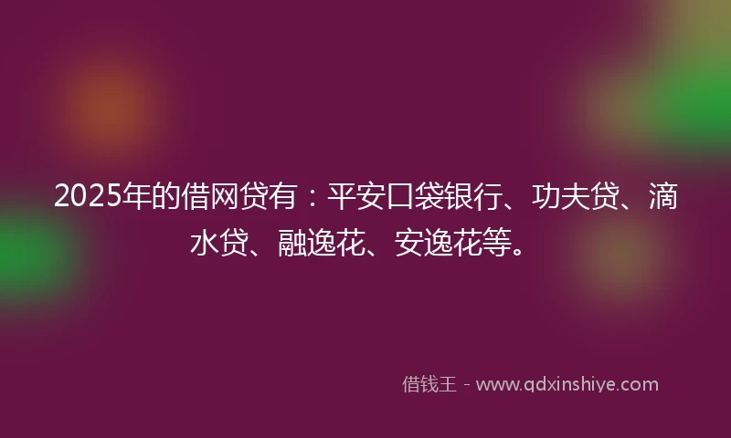 2025年的借网贷有：平安口袋银行、功夫贷、滴水贷、融逸花、安逸花等。
