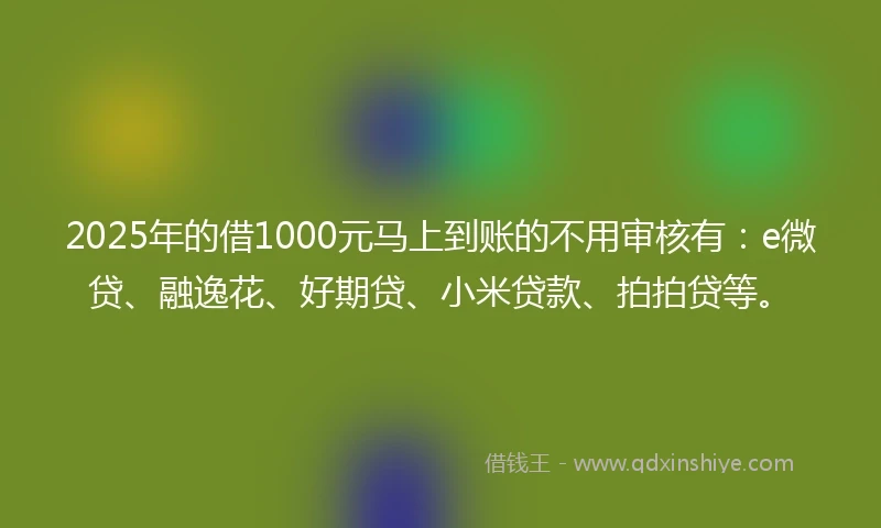 2025年的借1000元马上到账的不用审核有：e微贷、融逸花、好期贷、小米贷款、拍拍贷等。
