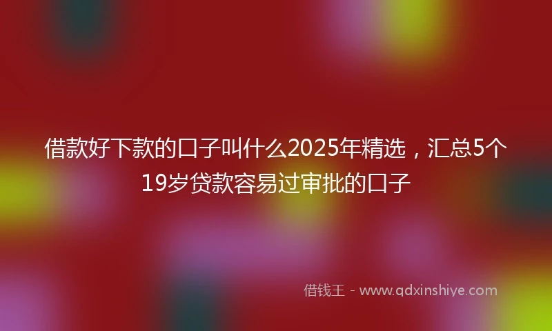 借款好下款的口子叫什么2025年精选，汇总5个19岁贷款容易过审批的口子