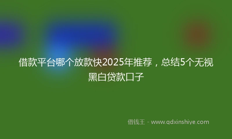 借款平台哪个放款快2025年推荐，总结5个无视黑白贷款口子