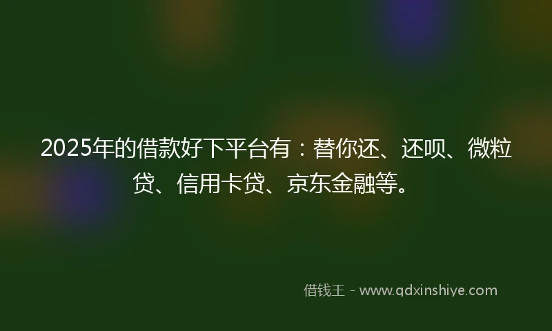 2025年的借款好下平台有：替你还、还呗、微粒贷、信用卡贷、京东金融等。