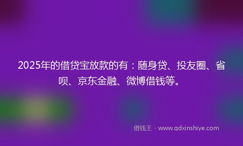 2025年的借贷宝放款的有：随身贷、投友圈、省呗、京东金融、微博借钱等。
