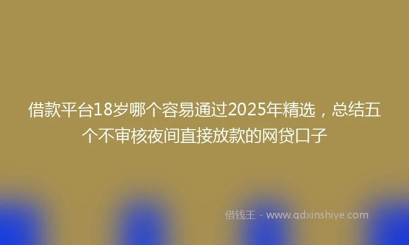 借款平台18岁哪个容易通过2025年精选，总结五个不审核夜间直接放款的网贷口子