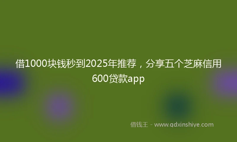 借1000块钱秒到2025年推荐，分享五个芝麻信用600贷款app