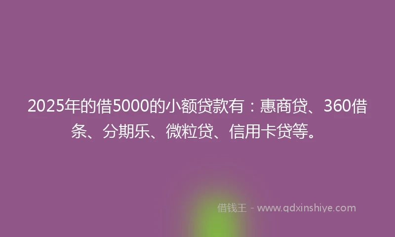 2025年的借5000的小额贷款有：惠商贷、360借条、分期乐、微粒贷、信用卡贷等。