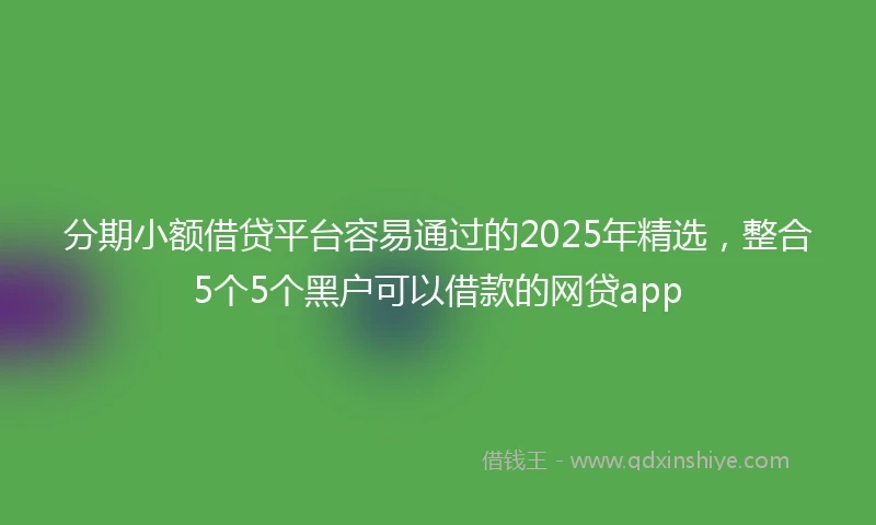 分期小额借贷平台容易通过的2025年精选，整合5个5个黑户可以借款的网贷app