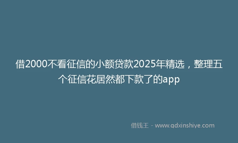 借2000不看征信的小额贷款2025年精选,整理五个征信花居然都下款了的app