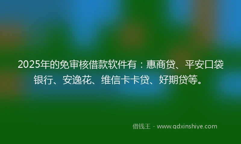 2025年的免审核借款软件有：惠商贷、平安口袋银行、安逸花、维信卡卡贷、好期贷等。