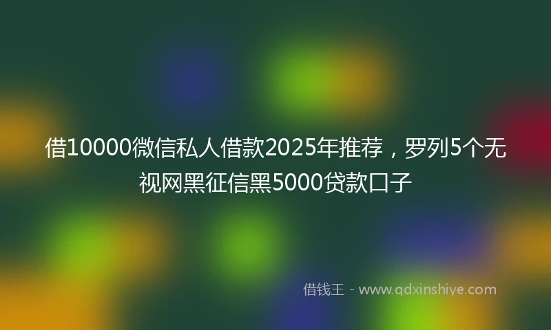 借10000微信私人借款2025年推荐，罗列5个无视网黑征信黑5000贷款口子