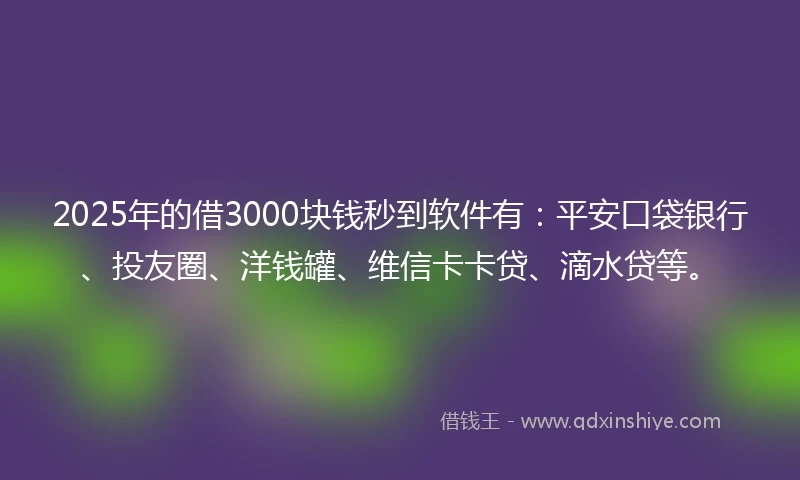 2025年的借3000块钱秒到软件有：平安口袋银行、投友圈、洋钱罐、维信卡卡贷、滴水贷等。