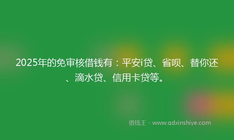 2025年的免审核借钱有：平安i贷、省呗、替你还、滴水贷、信用卡贷等。