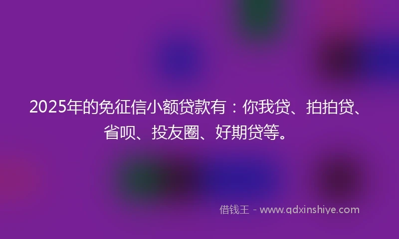 2025年的免征信小额贷款有：你我贷、拍拍贷、省呗、投友圈、好期贷等。