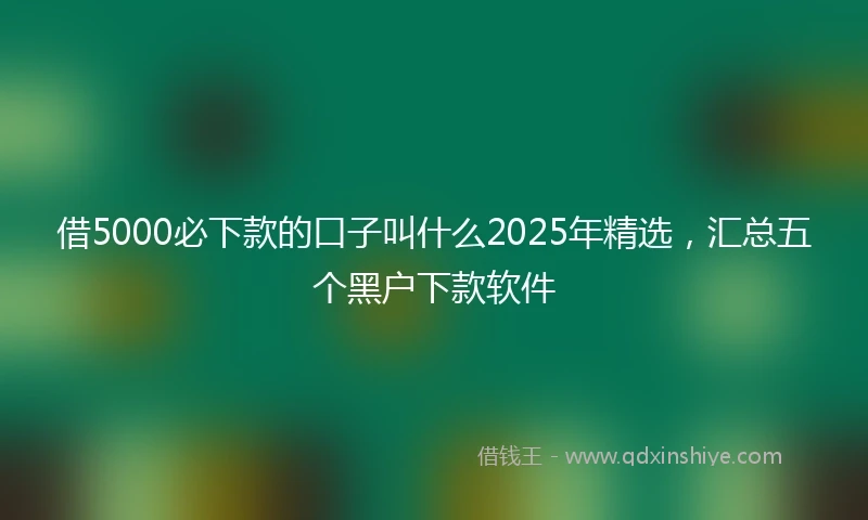 借5000必下款的口子叫什么2025年精选，汇总五个黑户下款软件