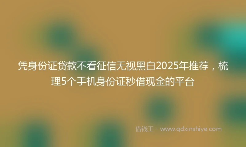 凭身份证贷款不看征信无视黑白2025年推荐，梳理5个手机身份证秒借现金的平台