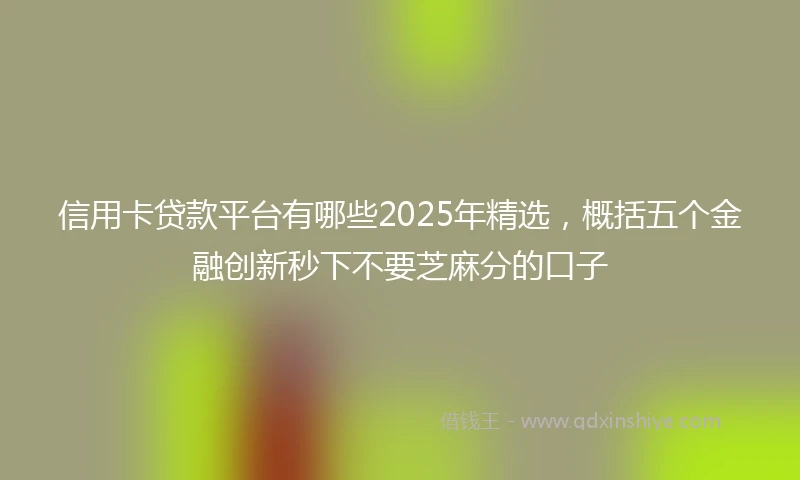 信用卡贷款平台有哪些2025年精选,概括五个金融创新秒下不要芝麻分的口子